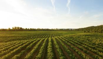 Why are farmers protesting IHT changes?