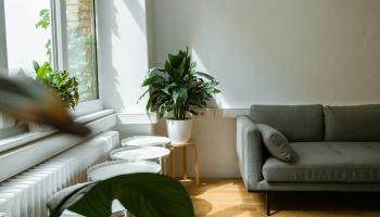 Renters’ Rights Act: What Changes on 1st May 2026
