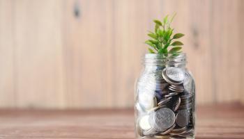 National Insurance reduced in 2024