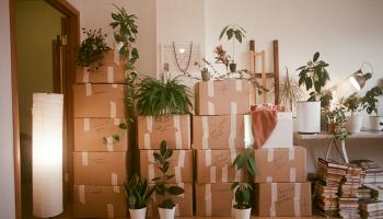 Renters’ Rights Bill: Why Tenants May End Up Worse Off