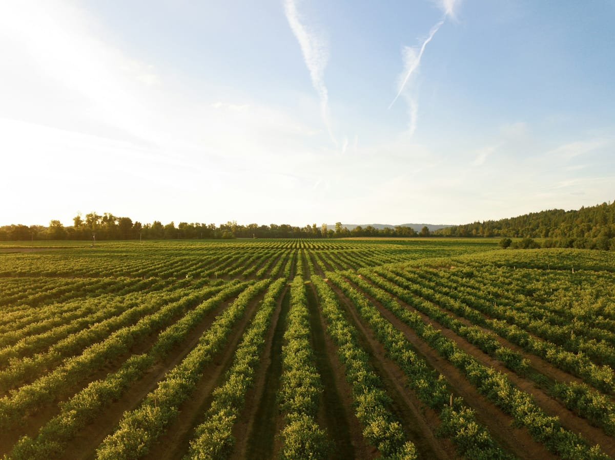 Why are farmers protesting IHT changes?