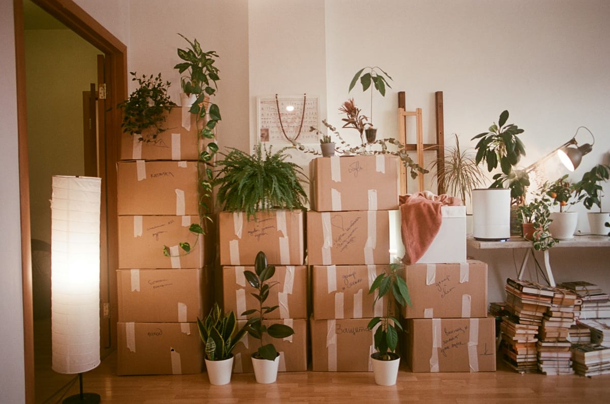 Renters’ Rights Bill: Why Tenants May End Up Worse Off