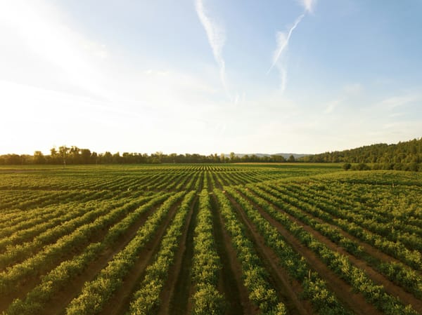 Why are farmers protesting IHT changes?