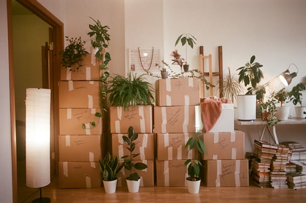 Renters’ Rights Bill: Why Tenants May End Up Worse Off